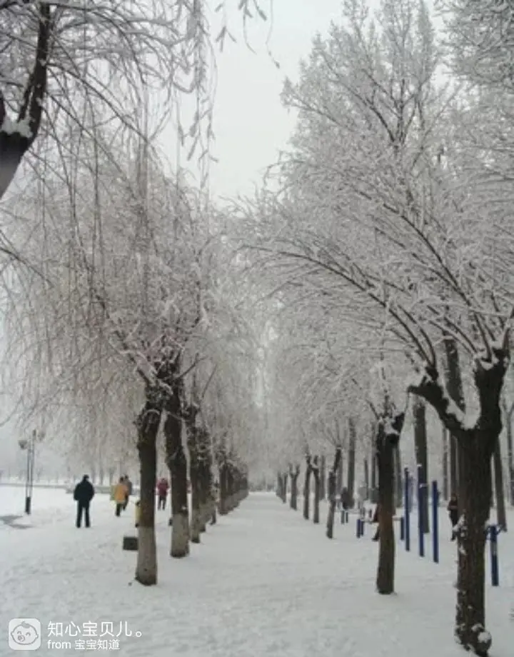 小时候玩雪的回忆_滚雪球游戏规则_滚雪球打雪仗的童年时光