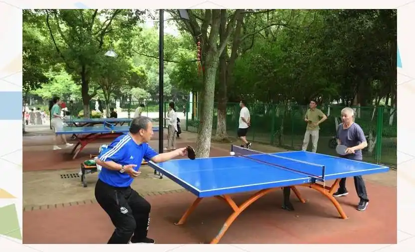 乒乓球全方位指南：规则、技巧与战术详解