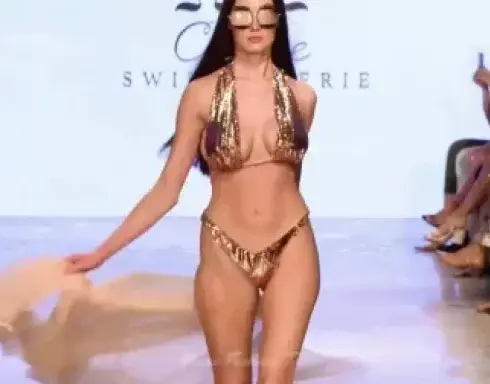 欧美内衣秀,模特身材太好了,衣服根本兜不住