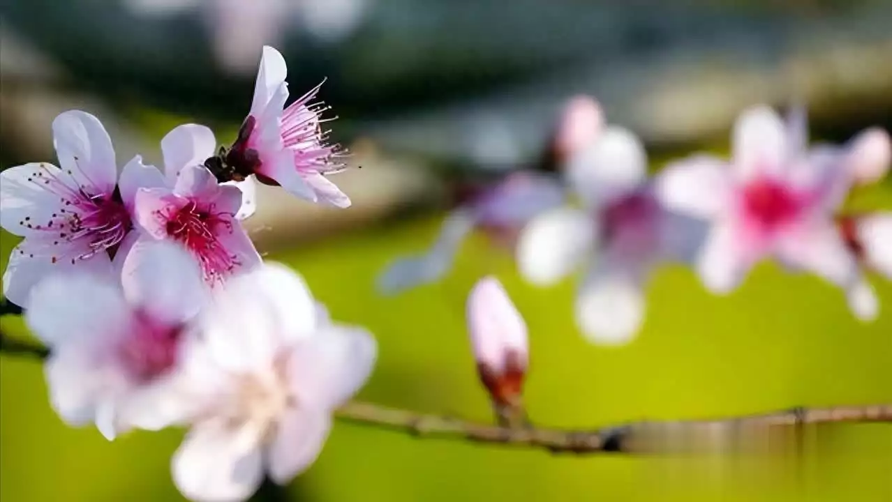 这几个星座果断断舍离是勇气，爱自己才能遇真心人！