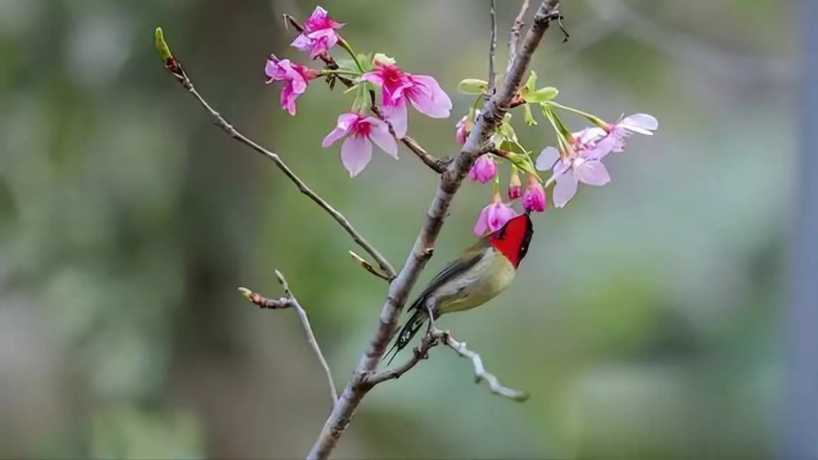 星座断舍离_12月是什么星座_白羊座断舍离特点