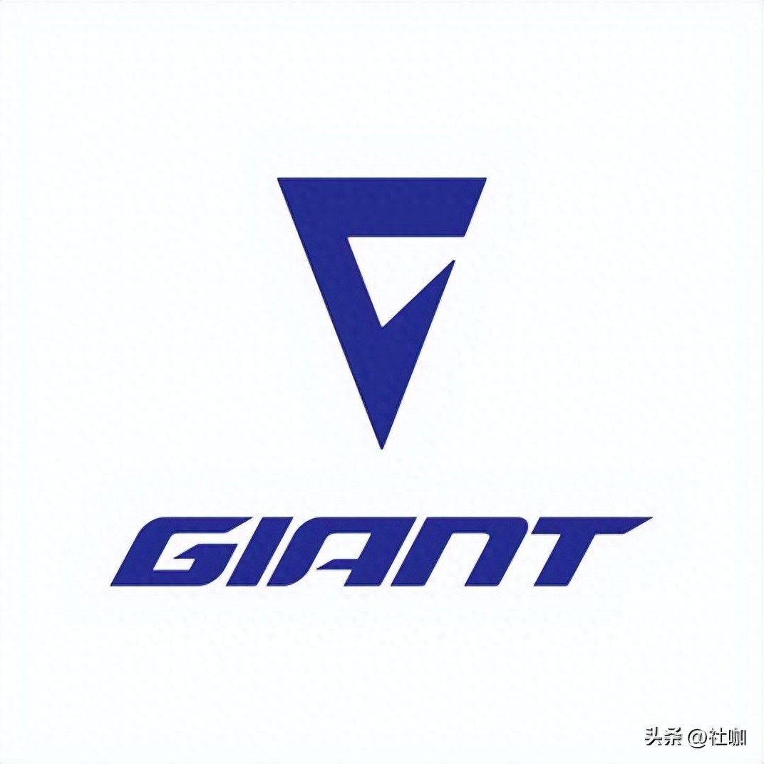 十大运动自行车国际品牌排行榜