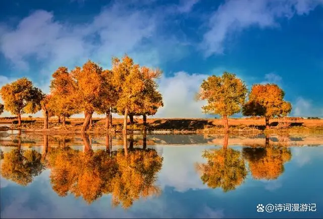 秋日诗意诗词_描写秋天景色的文章_秋月秋色秋韵