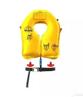 飞机英文怎么写的_airplane economic class English signs _ life vest under seat meaning