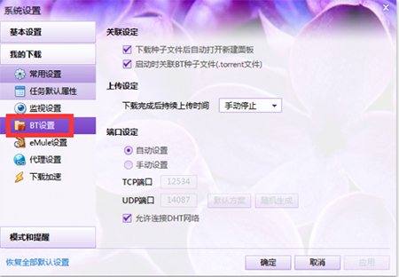 迅雷白金会员尊享版
