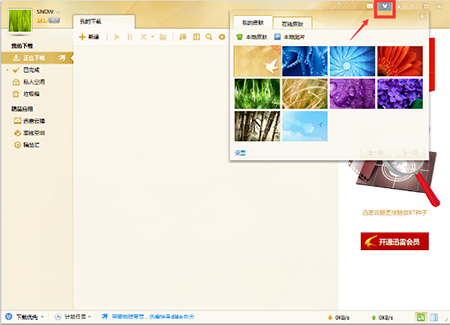 迅雷白金会员尊享版