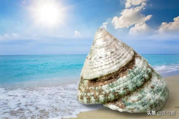 俗语演变过程_老话传变味_传话游戏规则