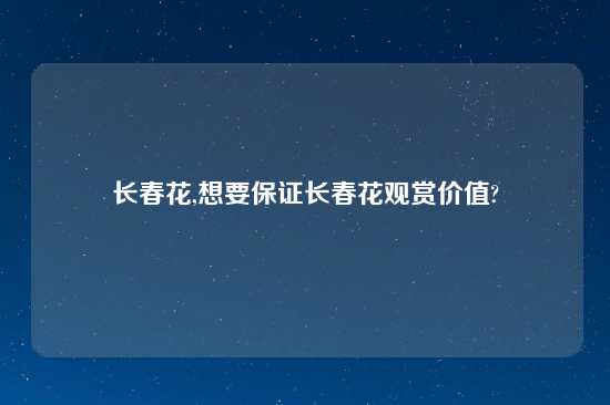 长春花,想要保证长春花观赏价值?