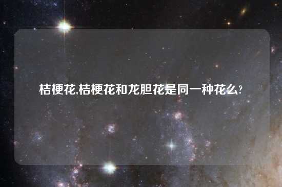 桔梗花,桔梗花和龙胆花是同一种花么?