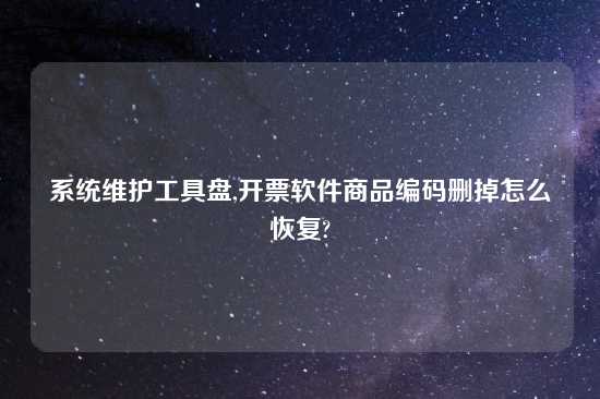 系统维护工具盘,开票软件商品编码删掉怎么恢复?