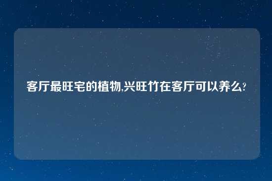客厅最旺宅的植物,兴旺竹在客厅可以养么?