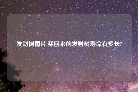 发财树图片,买回来的发财树寿命有多长?