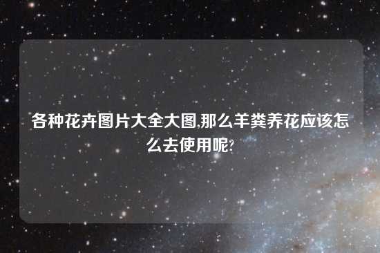 各种花卉图片大全大图,那么羊粪养花应该怎么去使用呢?