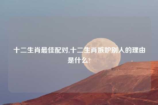 十二生肖最佳配对,十二生肖嫉妒别人的理由是什么?