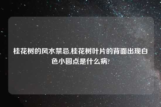 桂花树的风水禁忌,桂花树叶片的背面出现白色小圆点是什么病?