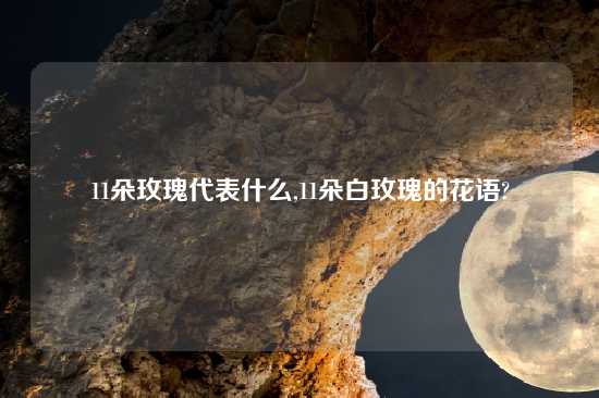 11朵玫瑰代表什么,11朵白玫瑰的花语?