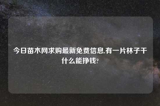 今日苗木网求购最新免费信息,有一片林子干什么能挣钱?