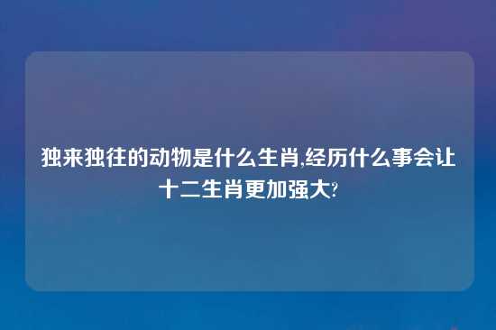 独来独往的动物是什么生肖,经历什么事会让十二生肖更加强大?