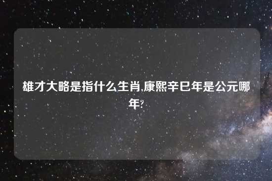 雄才大略是指什么生肖,康熙辛巳年是公元哪年?