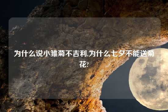 为什么说小雏菊不吉利,为什么七夕不能送菊花?