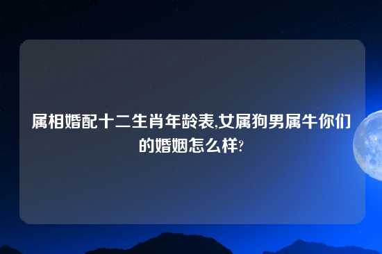 属相婚配十二生肖年龄表,女属狗男属牛你们的婚姻怎么样?
