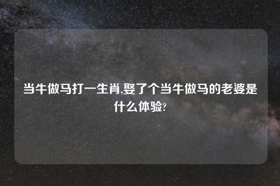 当牛做马打一生肖,娶了个当牛做马的老婆是什么体验?