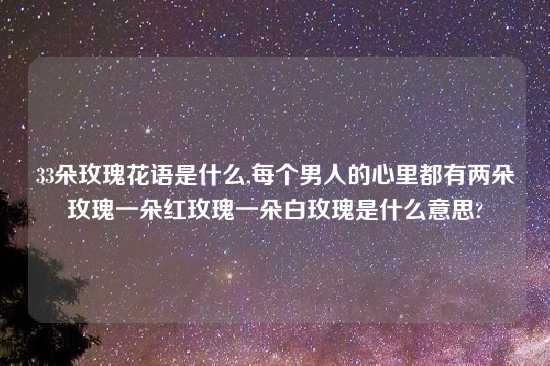 33朵玫瑰花语是什么,每个男人的心里都有两朵玫瑰一朵红玫瑰一朵白玫瑰是什么意思?