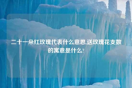 二十一朵红玫瑰代表什么意思,送玫瑰花支数的寓意是什么?