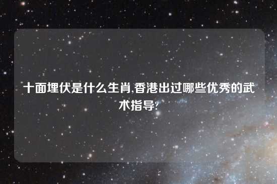 十面埋伏是什么生肖,香港出过哪些优秀的武术指导?