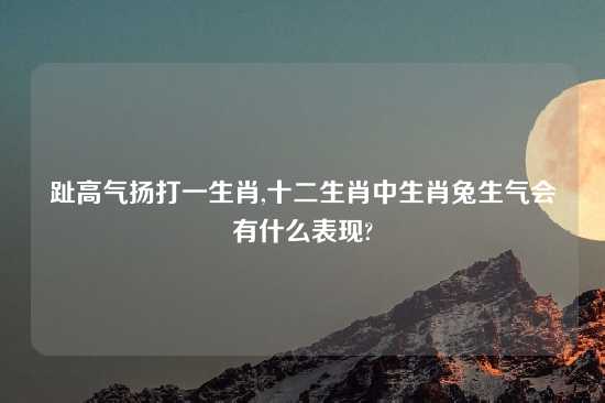 趾高气扬打一生肖,十二生肖中生肖兔生气会有什么表现?