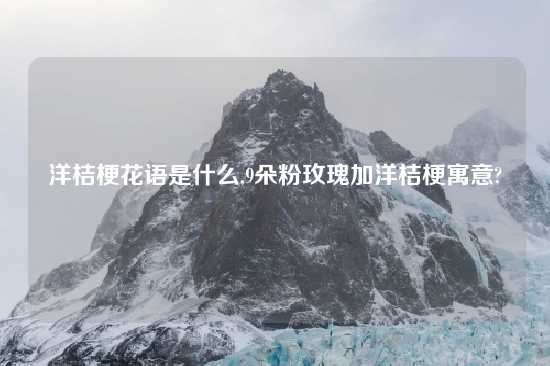 洋桔梗花语是什么,9朵粉玫瑰加洋桔梗寓意?