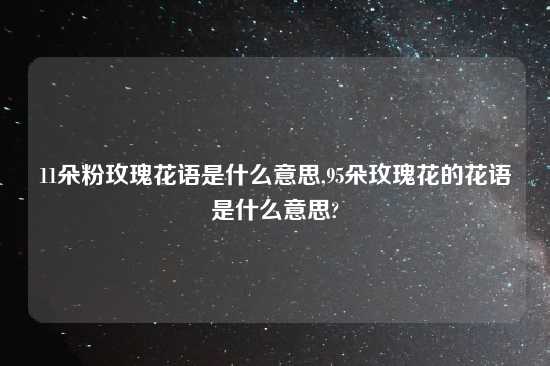 11朵粉玫瑰花语是什么意思,95朵玫瑰花的花语是什么意思?