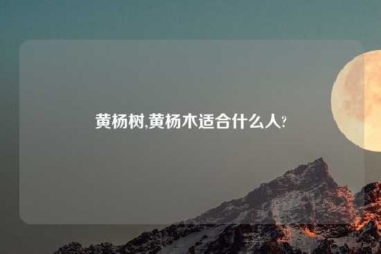 黄杨树,黄杨木适合什么人?