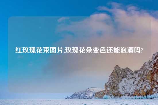 红玫瑰花束图片,玫瑰花朵变色还能泡酒吗?