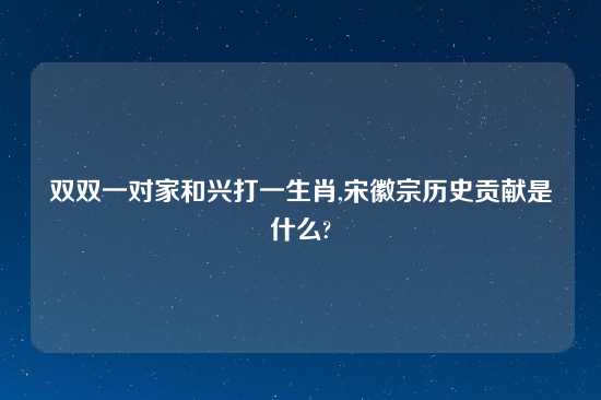双双一对家和兴打一生肖,宋徽宗历史贡献是什么?