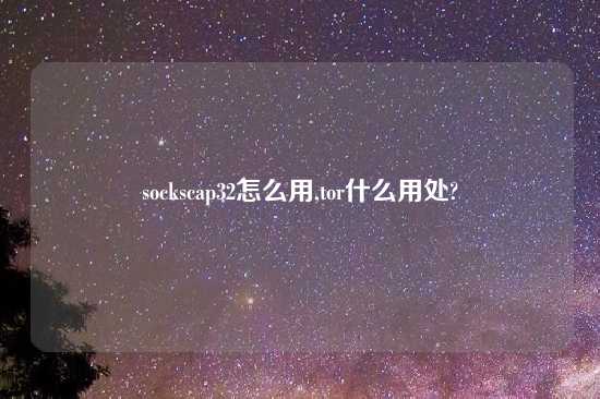 sockscap32怎么用,tor什么用处?