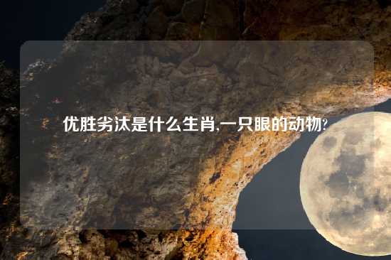 优胜劣汰是什么生肖,一只眼的动物?