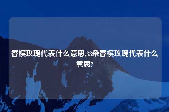 香槟玫瑰代表什么意思,33朵香槟玫瑰代表什么意思?