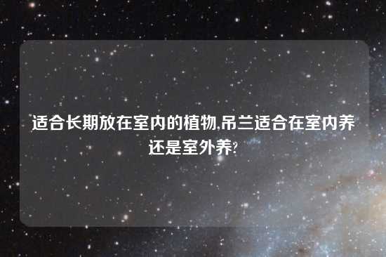 适合长期放在室内的植物,吊兰适合在室内养还是室外养?