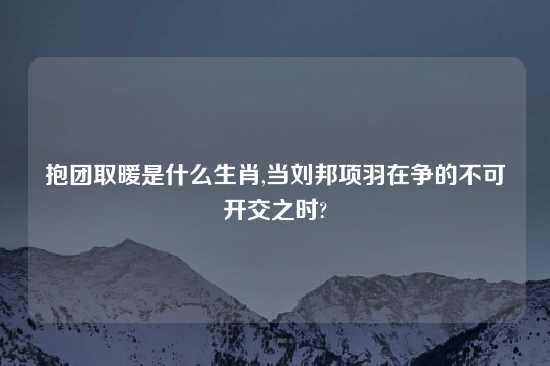 抱团取暖是什么生肖,当刘邦项羽在争的不可开交之时?