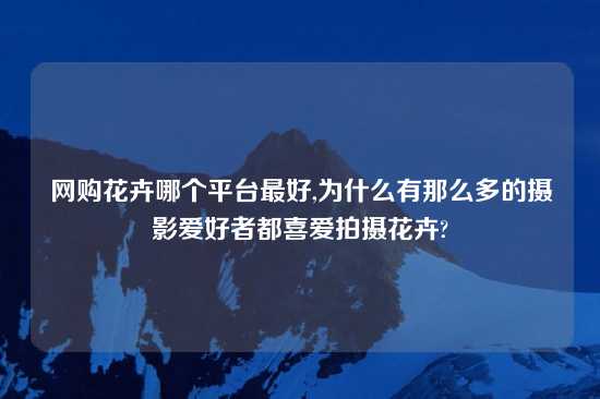 网购花卉哪个平台最好,为什么有那么多的摄影爱好者都喜爱拍摄花卉?