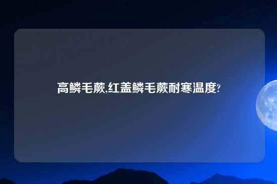 高鳞毛蕨,红盖鳞毛蕨耐寒温度?