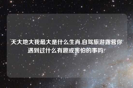 天大地大我最大是什么生肖,自驾旅游露营你遇到过什么有趣或害怕的事吗?