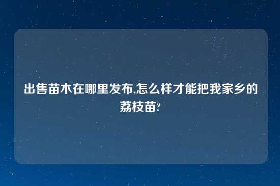 出售苗木在哪里发布,怎么样才能把我家乡的荔枝苗?
