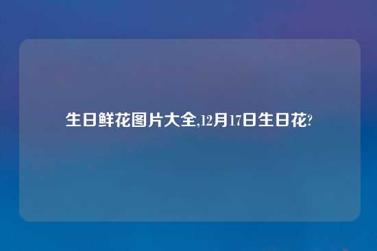 生日鲜花图片大全,12月17日生日花?