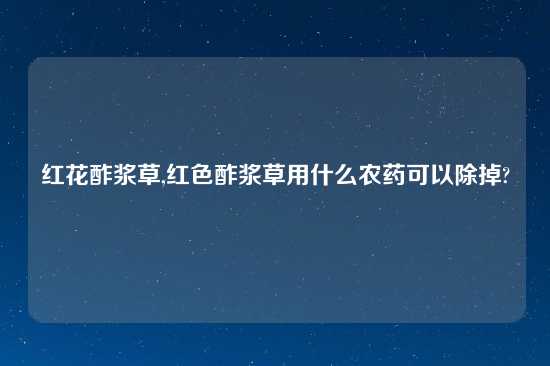 红花酢浆草,红色酢浆草用什么农药可以除掉?