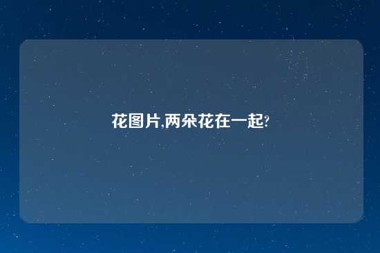 花图片,两朵花在一起?