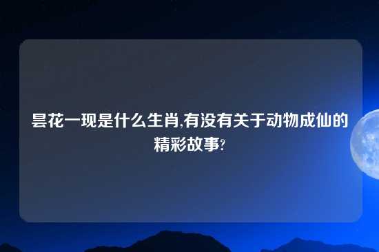 昙花一现是什么生肖,有没有关于动物成仙的精彩故事?