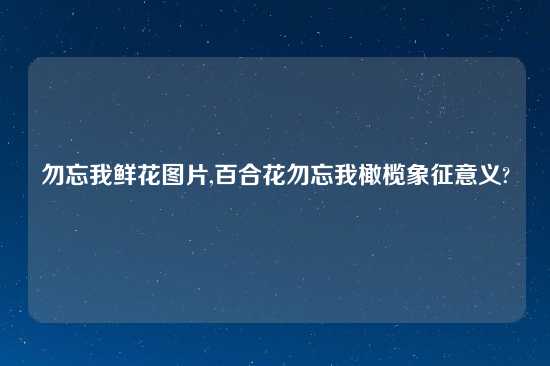 勿忘我鲜花图片,百合花勿忘我橄榄象征意义?