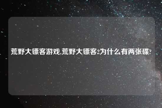 荒野大镖客游戏,荒野大镖客2为什么有两张碟?
